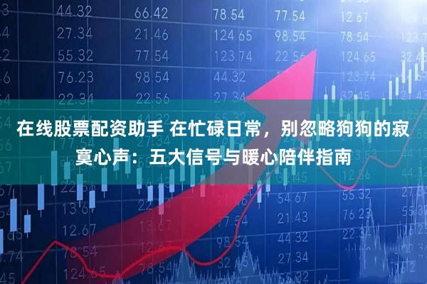 在线股票配资助手 在忙碌日常，别忽略狗狗的寂寞心声：五大信号与暖心陪伴指南